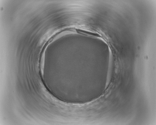 X0000088140002200705291409