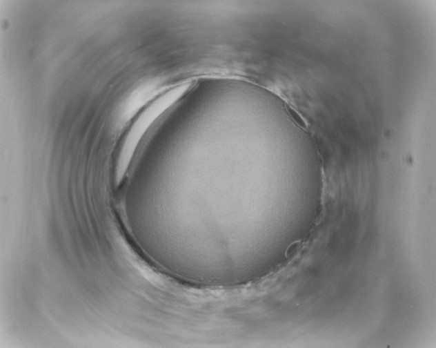 X0000088140005200705291409