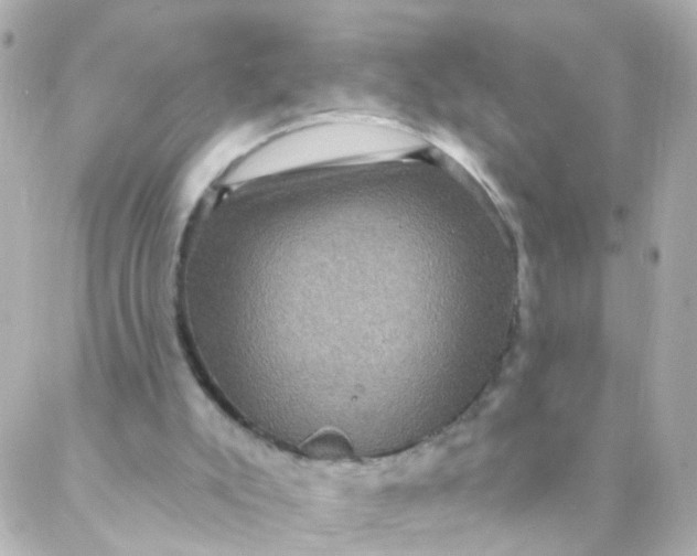 X0000088140007200705291409