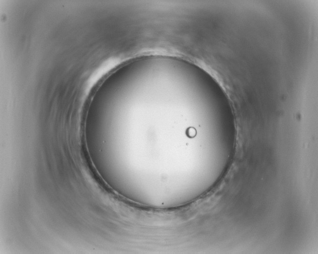 X0000088140008200705291409