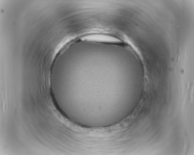 X0000088140011200705291409