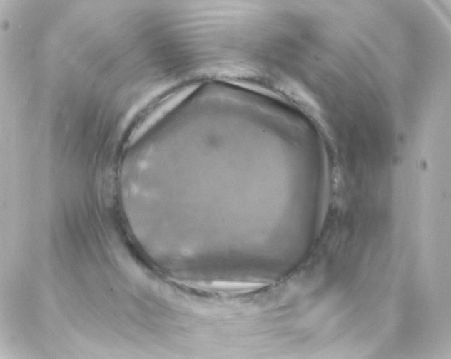 X0000088140012200705291409