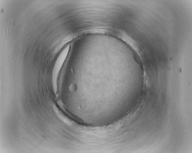 X0000088140013200705291409