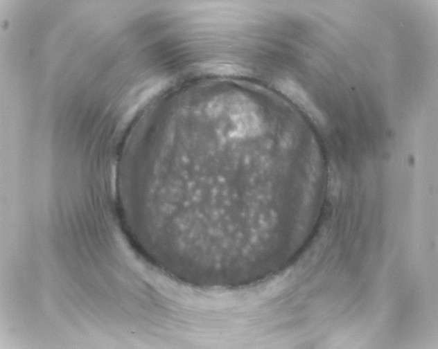 X0000088140014200705291409