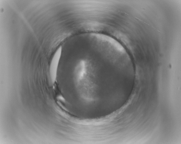 X0000088140017200705291409