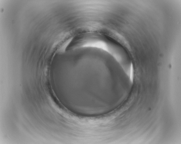 X0000088140018200705291409