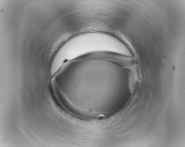 X0000088140019200705291409