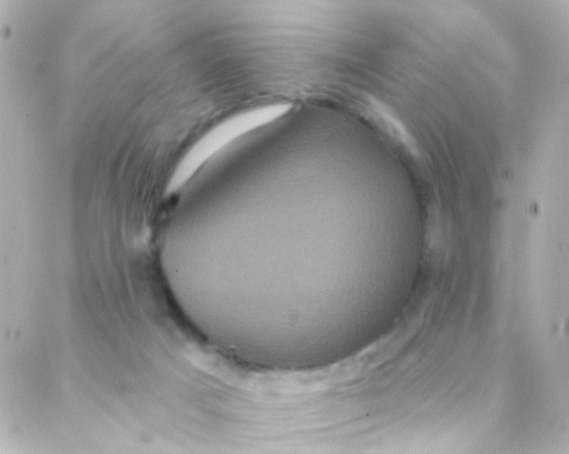 X0000088140025200705291409