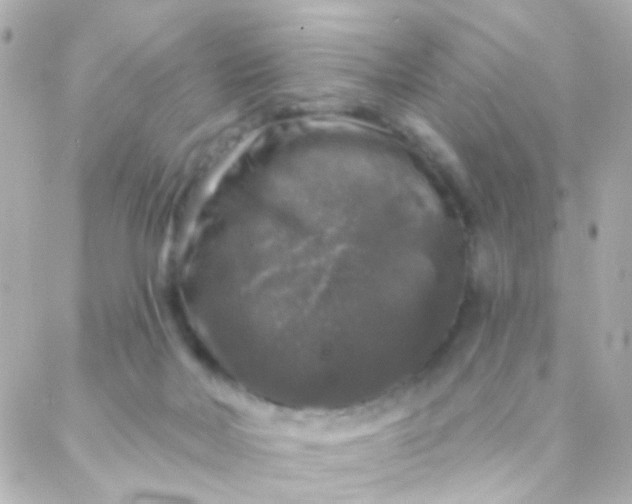 X0000088140026200705291409