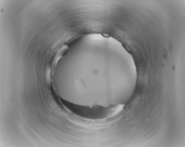 X0000088140027200705291409