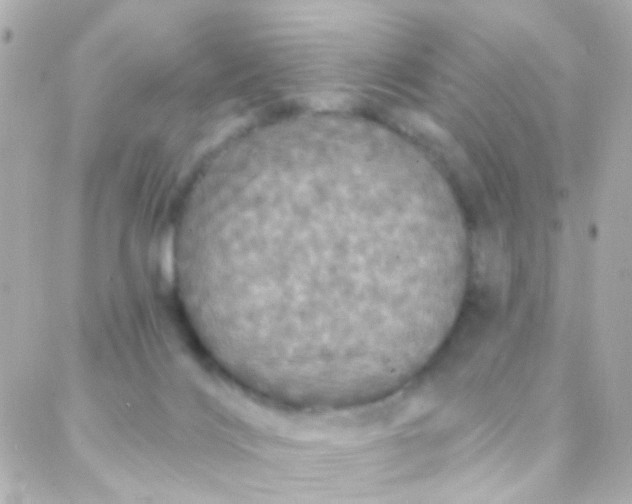 X0000088140028200705291409