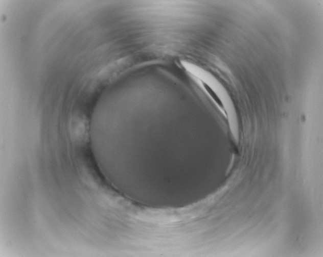 X0000088140029200705291409