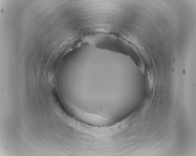 X0000088140031200705291409