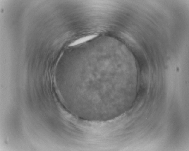 X0000088140037200705291409