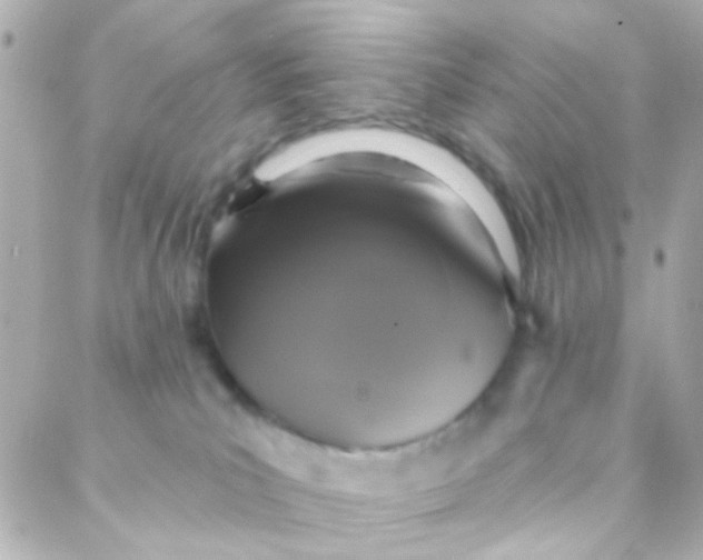 X0000088140039200705291409