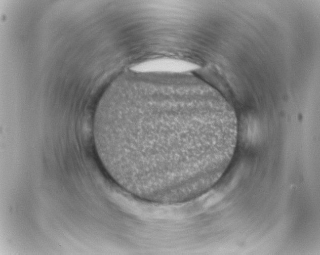 X0000088140040200705291409