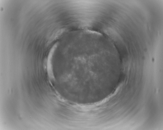 X0000088140041200705291409