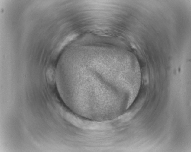 X0000088140044200705291409