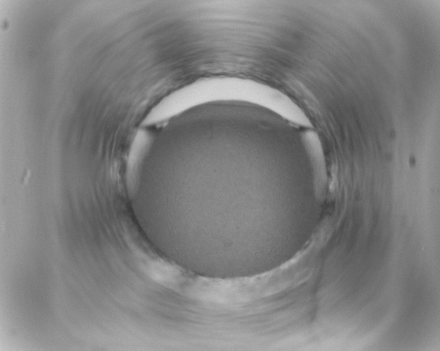 X0000088140045200705291409