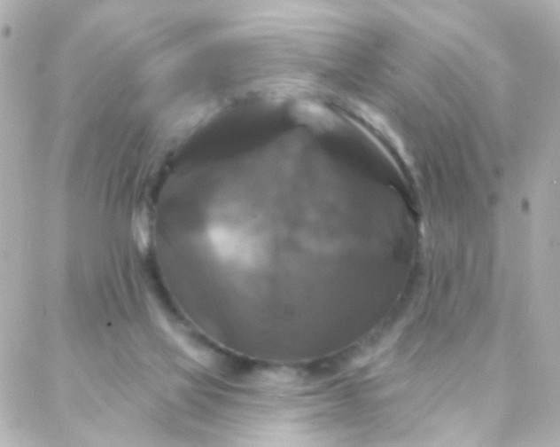 X0000088140069200705291408