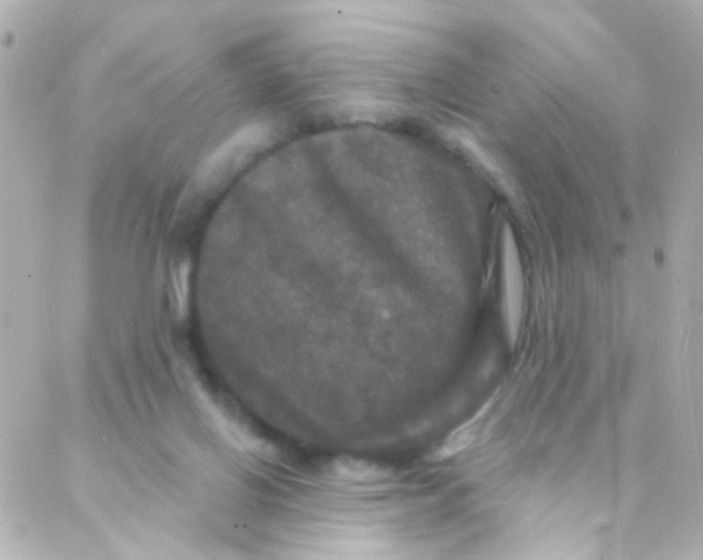 X0000088140070200705291408