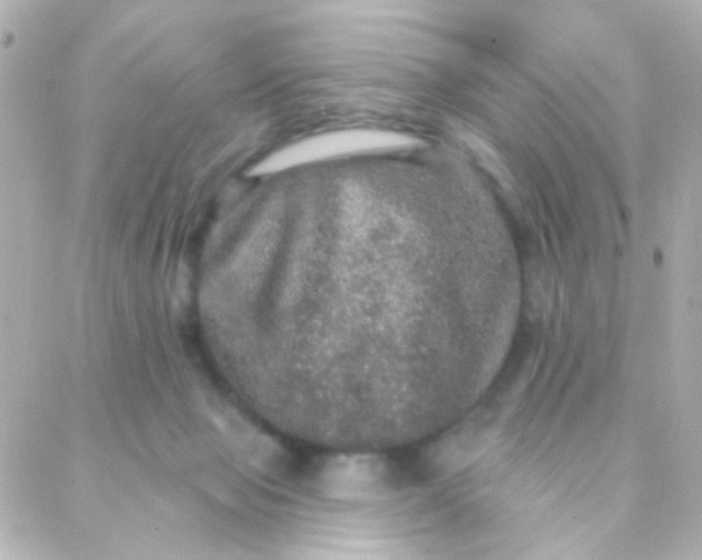 X0000088140077200705291408