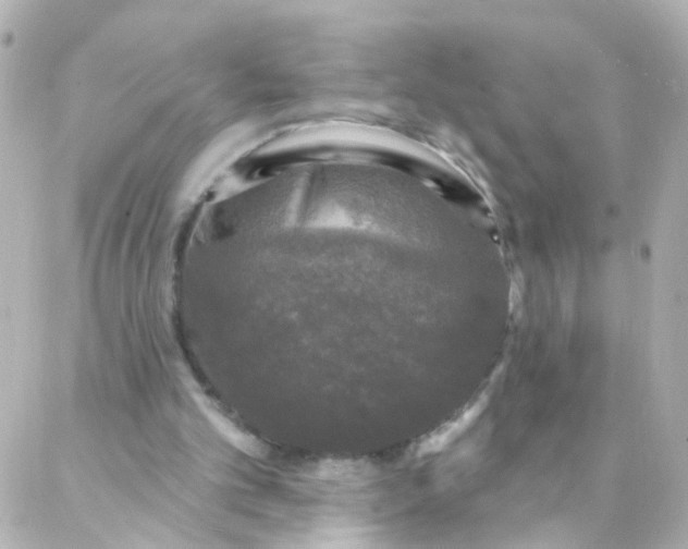 X0000088140101200705291408