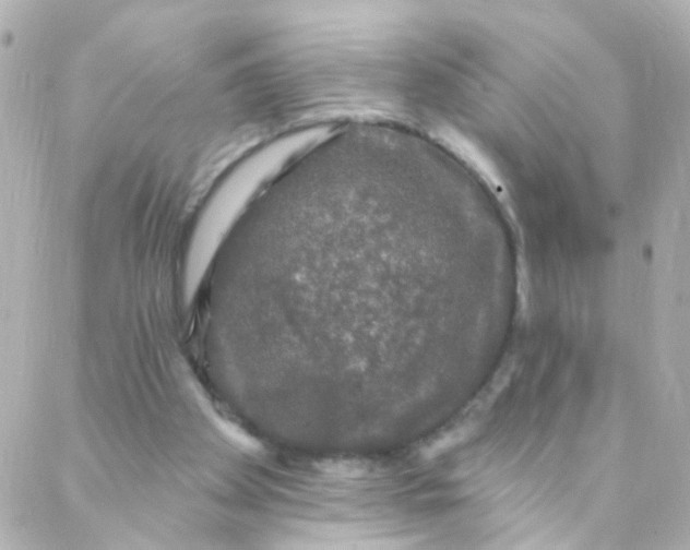 X0000088140105200705291408