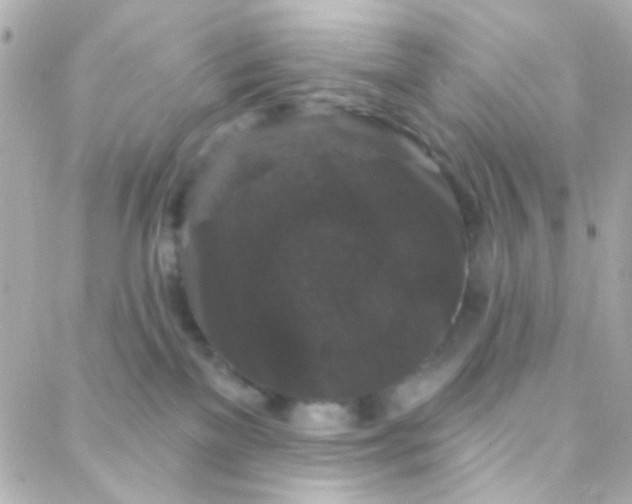 X0000088140137200705291407