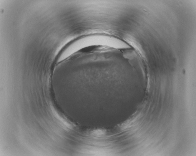 X0000088140156200705291406