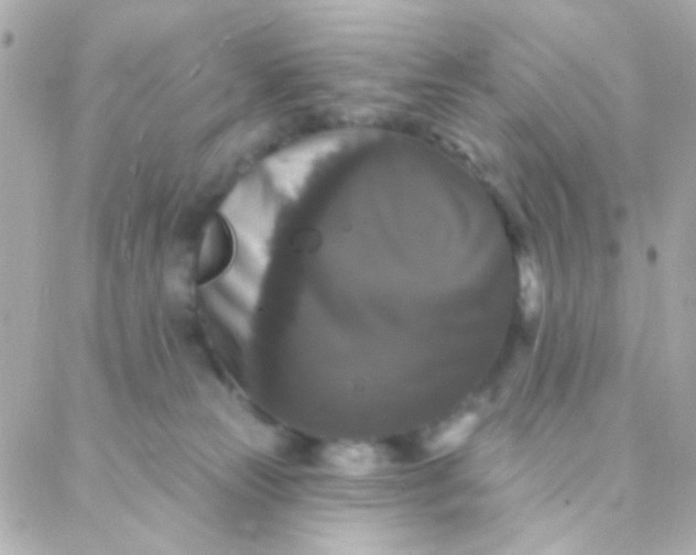 X0000088140181200705291407