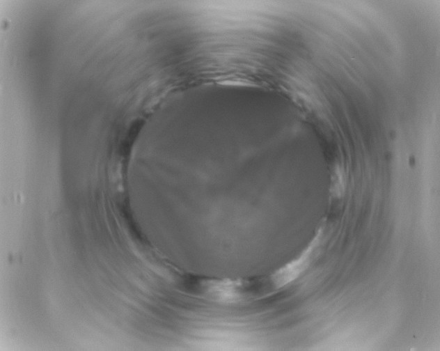 X0000088140182200705291407