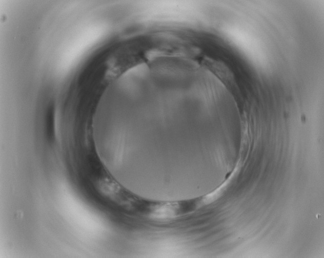 X0000088140191200705291407
