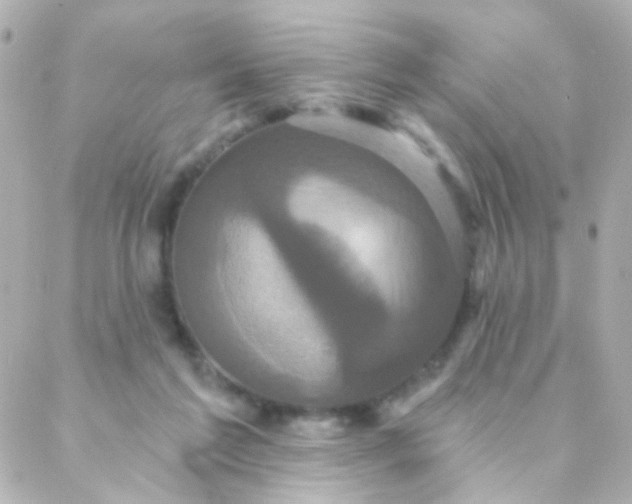 X0000088140213200705291406