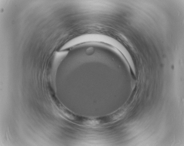X0000088140217200705291406