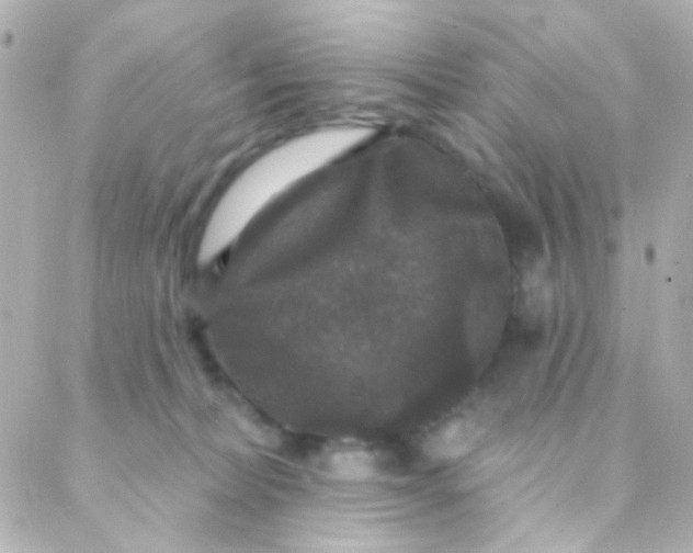 X0000088140228200705291406