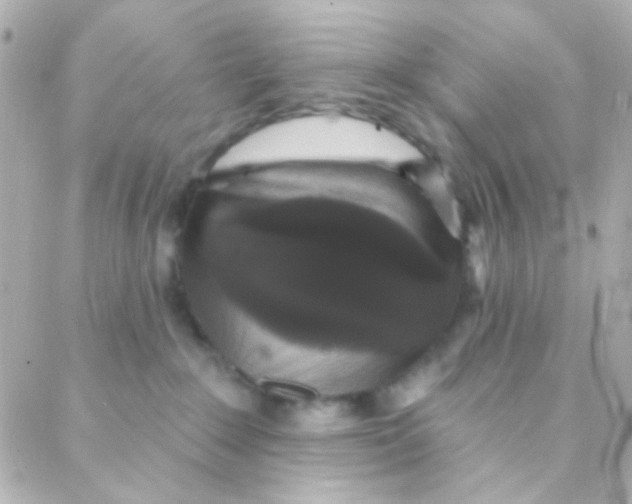 X0000088140235200705291405