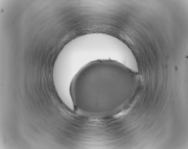 X0000088140237200705291405