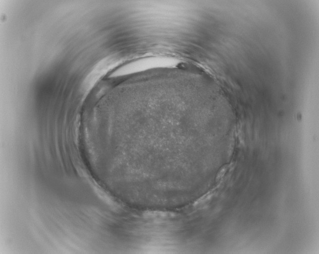 X0000088140242200705291405