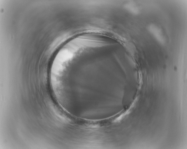 X0000088140247200705291405