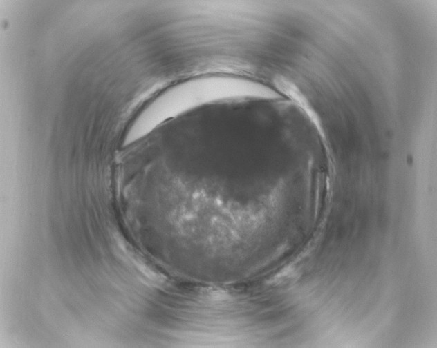 X0000088140249200705291405