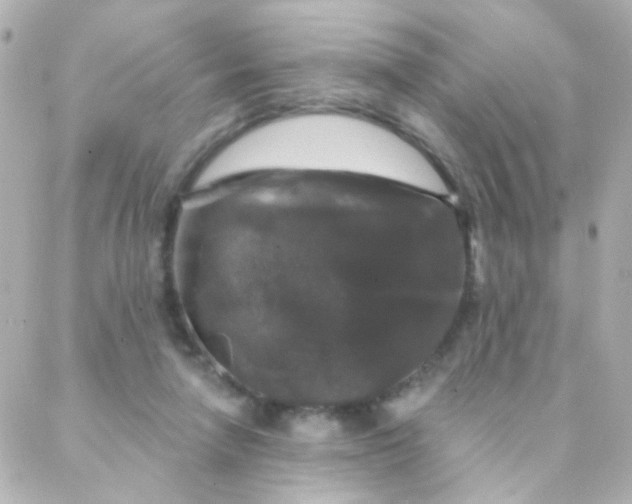 X0000088140258200705291405