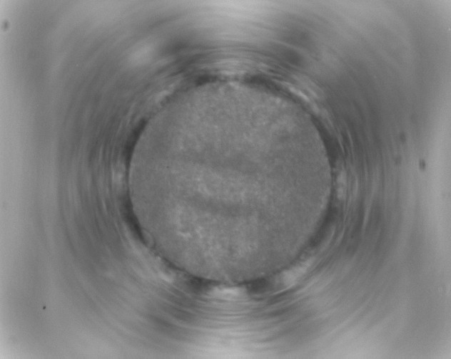 X0000088140283200705291405