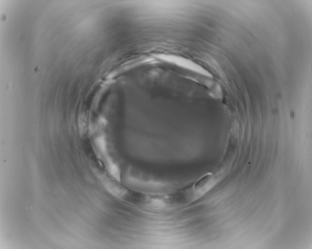 X0000088140285200705291405