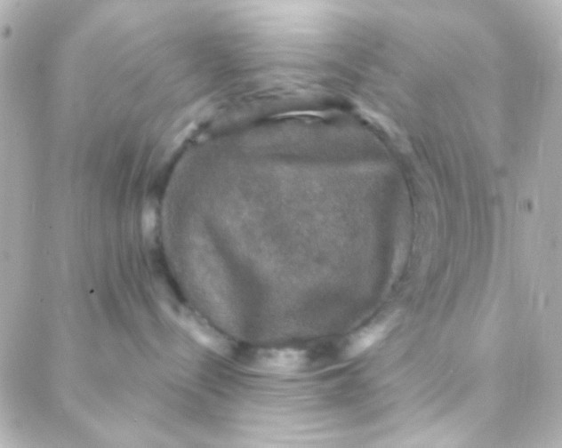 X0000088140288200705291405