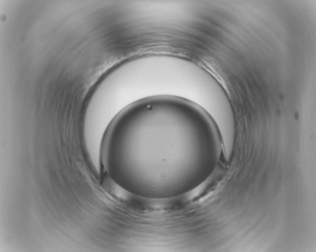 X0000088140301200705291404
