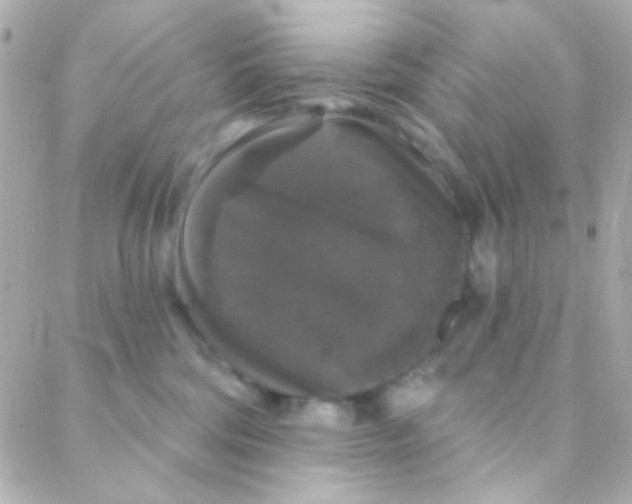 X0000088140330200705291404
