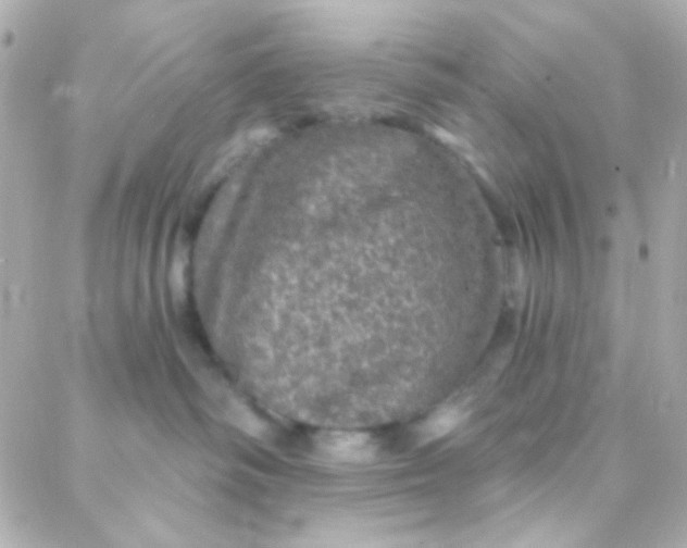 X0000088140334200705291404