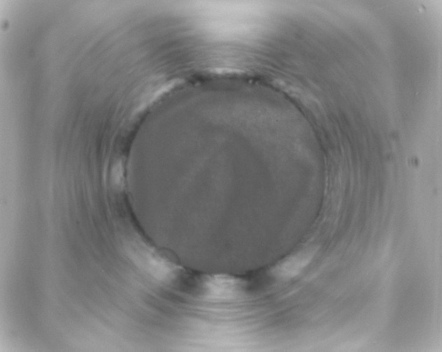 X0000088140336200705291404