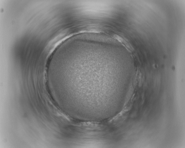 X0000088140338200705291403
